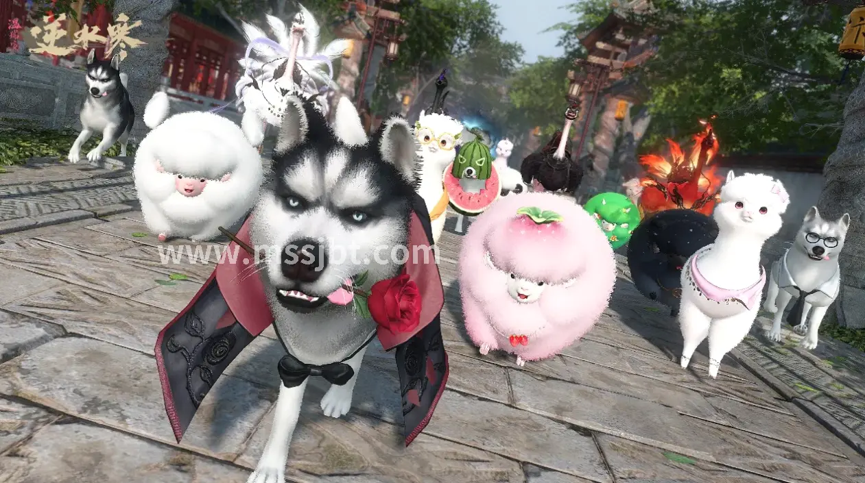 魔兽世界升级路线图