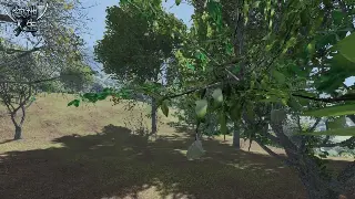 艾泽拉斯秘境：不止风景，更是你变强的起点！ 图片